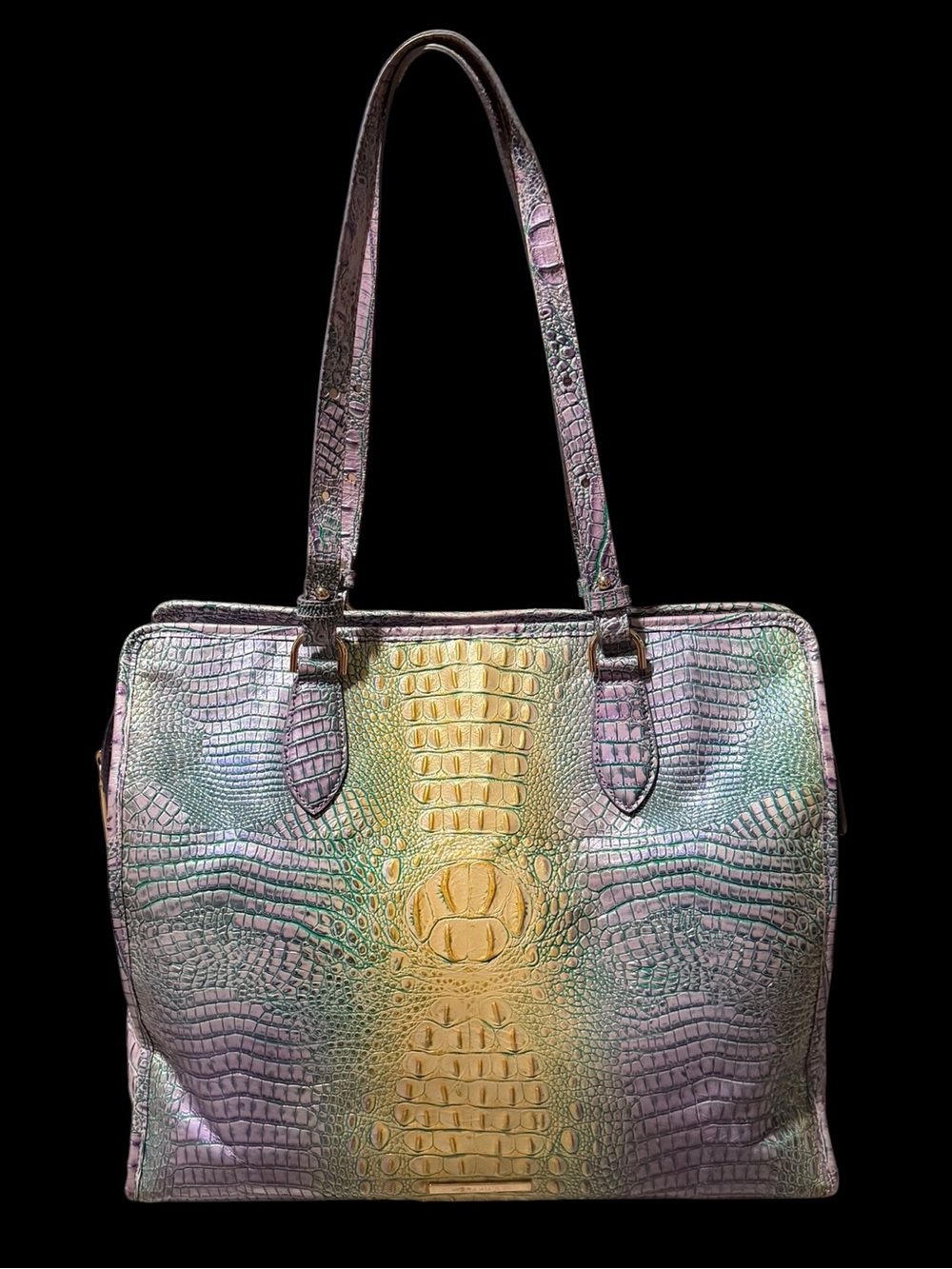 Brahmin Tia Tote in Viola Ombre